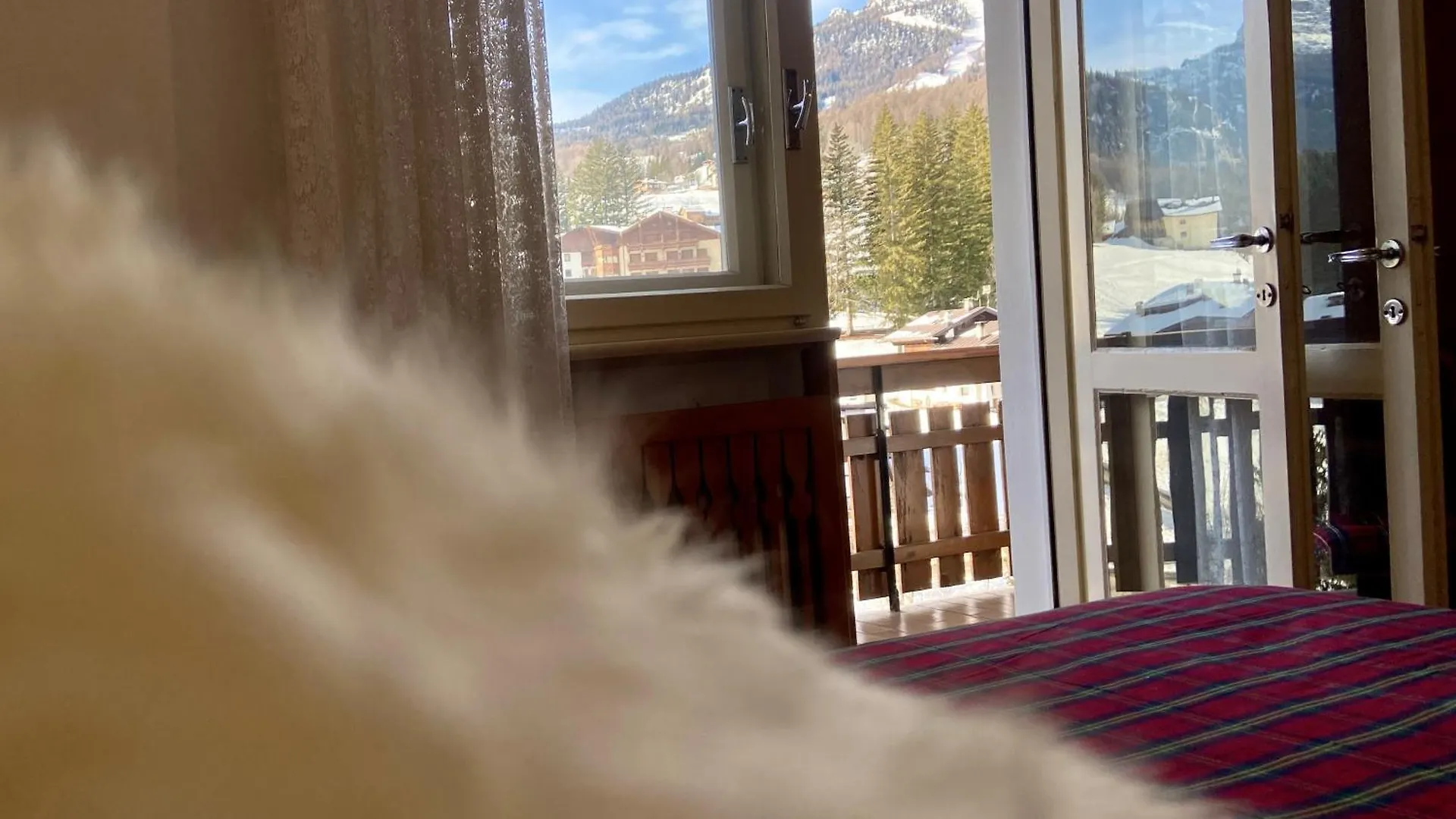 Apartment With Balcony Overlooking Tofane-Free Parking Cortina d'Ampezzo Italië